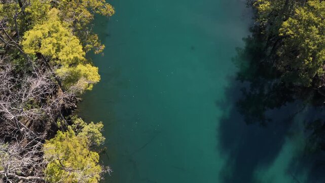 Pristine Waters Of Morrison Springs County Park Near Ponce De Leon In Florida's Walton County. Aerial Shot