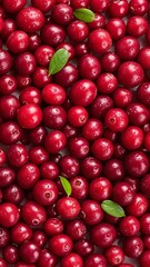 Vibrant Harvest of Glossy Red Cranberries Surrounded by Fresh Green Leaves, Perfect for Seasonal Use