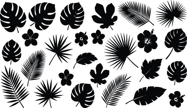 Tropical black leaves and flowers vector illustration collection with monstera, palm, fig jungle elements