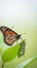 Obraz premium A delicate butterfly rests near the striped green larva, showcasing the dramatic transformation of the insect life cycle in nature, natural world, fragile, creature