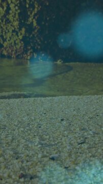 Vertical video: Foot entering touching grit, blue orbs drifting over foot, making ripples for study