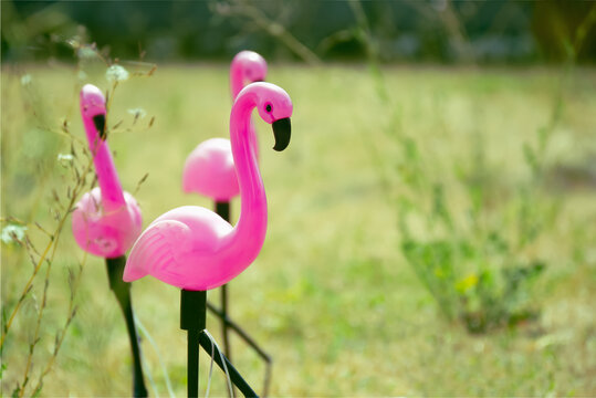 Pink plastic flamingo garden ornaments on a green grass lawn during a sunny summer day for outdoor yard decoration and kitsch tropical backyard party atmosphere.
