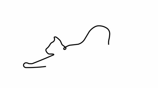 Cat  Online Drawing Art Digital Coffee Cup Illustration