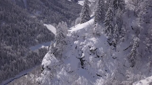 Paysage de montagne en hiver, for&ecirc;t enneig&eacute; 