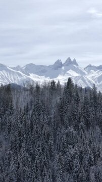 Apparition pic des aiguilles d'armes au dessus de for&ecirc;t enneig&eacute;e