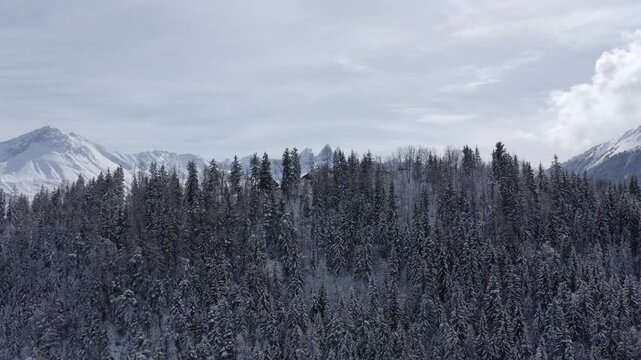 Apparition pic des aiguilles d'armes au dessus de for&ecirc;t enneig&eacute;e