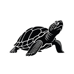 Fototapeta premium Black turtle silhouette illustration on white background, simple graphic design element