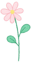 Obraz premium Pink Daisy Flower with Long Stem Oil Pastel Illustration