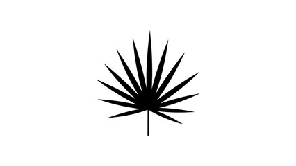 Fototapeta premium Minimalist black silhouette of a cannabis leaf on white background