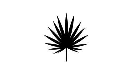 Black silhouette of a palm leaf on white background