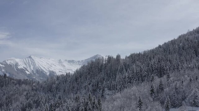 Apparition pic des aiguilles d'armes au dessus de for&ecirc;t enneig&eacute;e