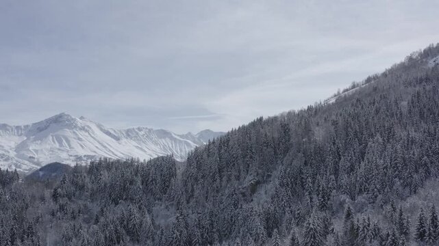 Apparition pic des aiguilles d'armes au dessus de for&ecirc;t enneig&eacute;e