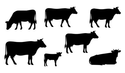 Farm cow silhouette vector collection with grazing standing and calf cattle icons isolated on white © BijoyChandra