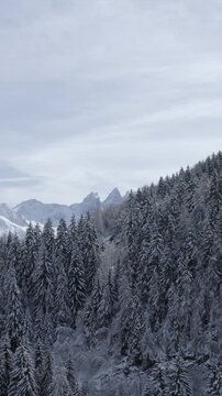 Apparition pic des aiguilles d'armes au dessus de for&ecirc;t enneig&eacute;e