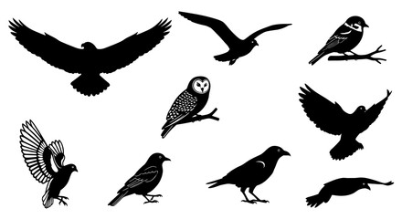 Obraz premium Black Silhouette Birds Flying and Perched Vector Art Collection