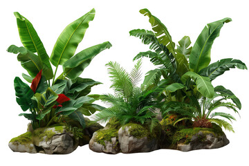 Fototapeta premium Tropical foliage arrangement with banana leaves, ferns, and mossy rocks creating a lush natural environment on a transparent background