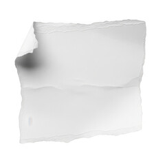 Torn piece of white paper with curled corner isolated on transparent background