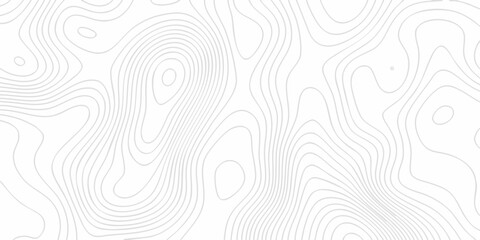 Topographic map background with geographic line map. Modern design with White topographic wavy pattern. White wave paper curved reliefs. © Sabir