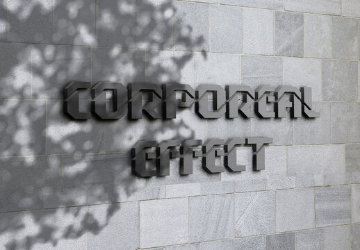 3D Logo Signage Mockup on Business Facade