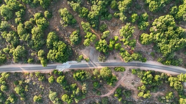 Aerial Journey Through Galilee: Montfort Fortress Ruins, Goren Park Forest, and Scenic Mountain Roads at Sunset, Israel