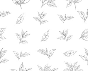 Hand drawn tea leaves seamless pattern. botanical herbal leaf background. minimal line art tea foliage texture. organic tea plant illustration repeat pattern.