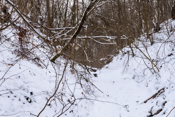 Urokliwy zimowy widok – wąwóz wśród łagodnych, zalesionych wzgórz pokrytych śniegiem. Pokryty śniegiem wąwóz wije się między łagodnymi, zalesionymi wzgórzami. Nagie drzewa rosną wzdłuż zboczy. © Grzegorz