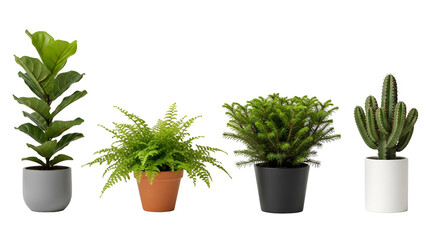 Obraz premium Four different potted plants on transparent background
