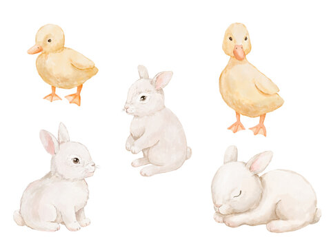 Watercolour cute ducklings and rabbits set. Hand drawn isolated illustration for card and poster, baby farm animals