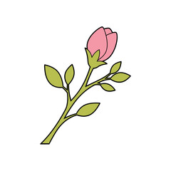 Simple Pink Rose Bud with Green Leaves Illustration