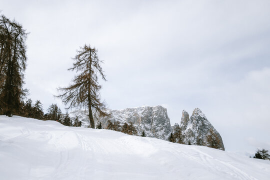 Schlern im Winter