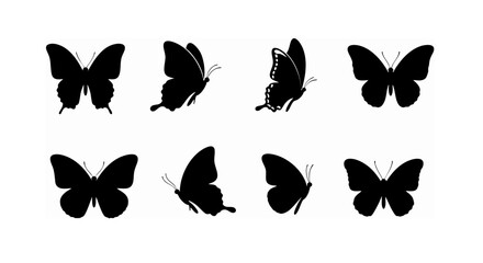 set of vector butterflies