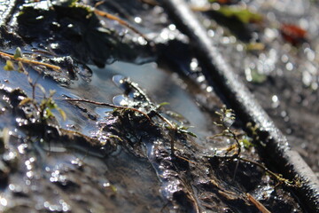 Fototapeta premium Melting ice and water on natural ground texture