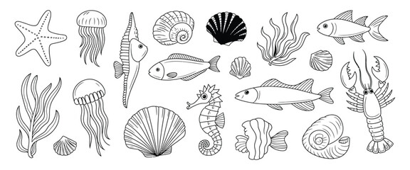 marine wildlife doodle coral, starfish and shell seahorse and mollusk, lobster and seaweed jellyfish fish cute aquarium, hand drawn isolated ocean animals nautical sketch vector set, decorative emblem © Rose