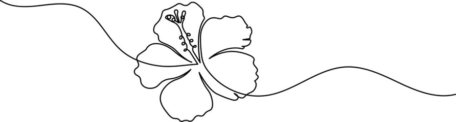 Hibiscus flower continuous one line art drawing minimalist style © Line Art King