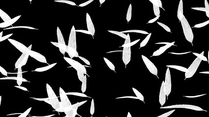 白い羽が舞い散る背景画像