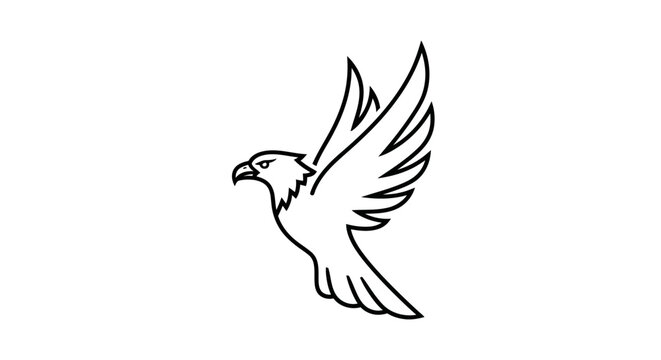 Black and White Eagle Illustration Flying.