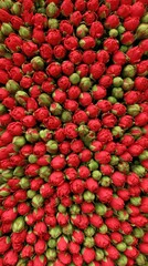 Top view of a dense pattern of red rosebuds with green sepals forming a vibrant floral background.