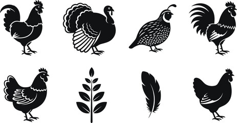 Poultry birds silhouettes collection with rooster chicken turkey quail feather and wheat farm animals black vector illustration set © Polash