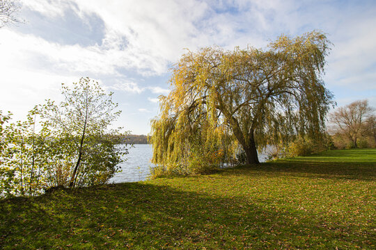 Ratzeburger See