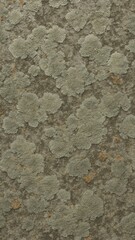 Natural lichen texture pattern