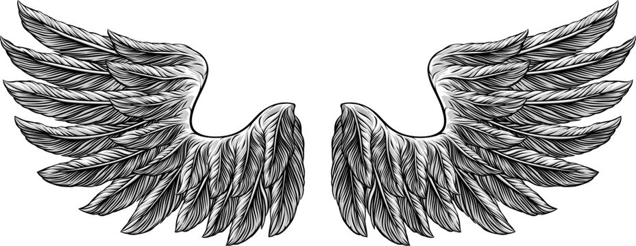 Eagle, angel or similar wings in a tattoo illustration vintage woodcut etching style