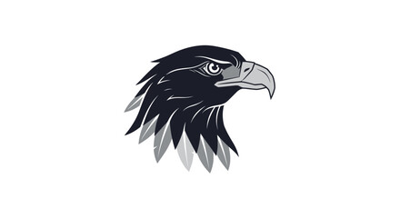 Fototapeta premium Black eagle head profile view.