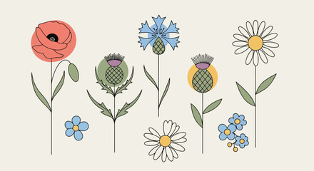 A delightful collection of vibrant flowers and a charming ladybug in full bloom © MohammadMasud