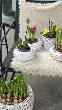 table setting in a garden