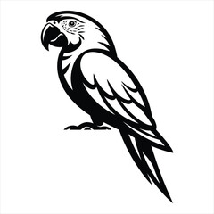 Obraz premium black and yellow macaw