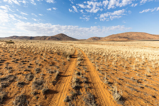 Desert Road Through Arid Landscape
