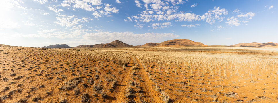 Arid Landscape with Mountain Range