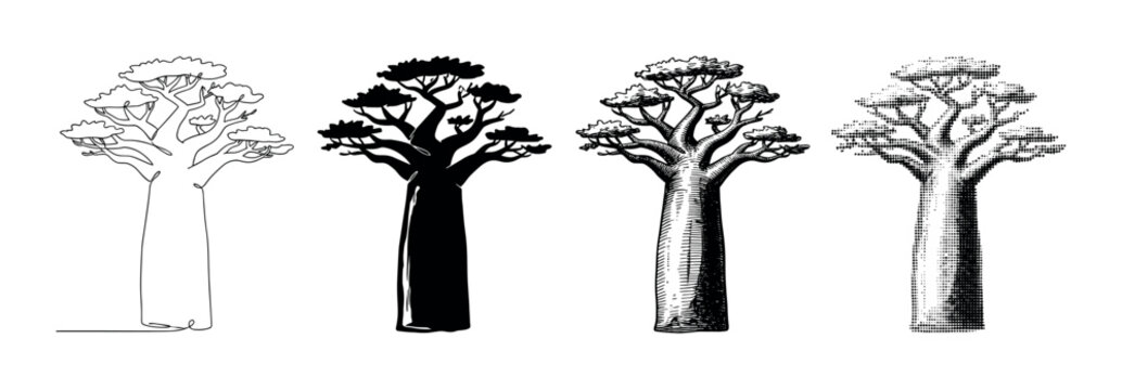 Four distinct baobab trees illustrated in various artistic styles, showcasing different graphic design techniques and interpretations.
