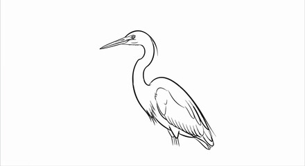 Fototapeta premium A minimalist black and white line drawing of a heron standing on its legs
