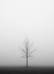 Obraz premium Beckett's lonely tree in an existential fog, depicting existential minimalism and emptiness, monochromatic, with space for text